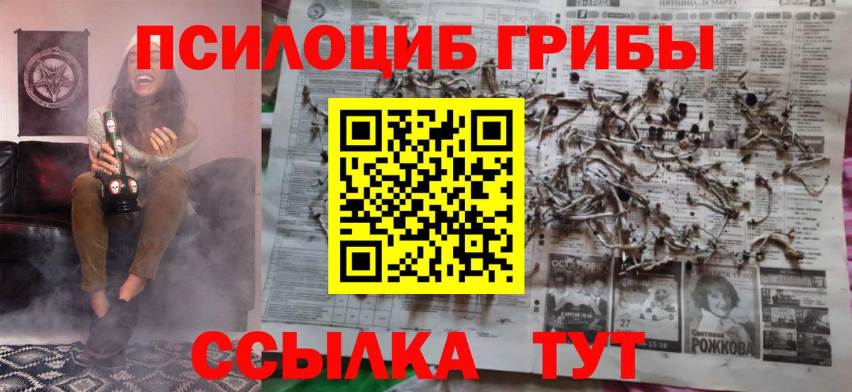 Галлюциногенные грибы Cubensis Назрань