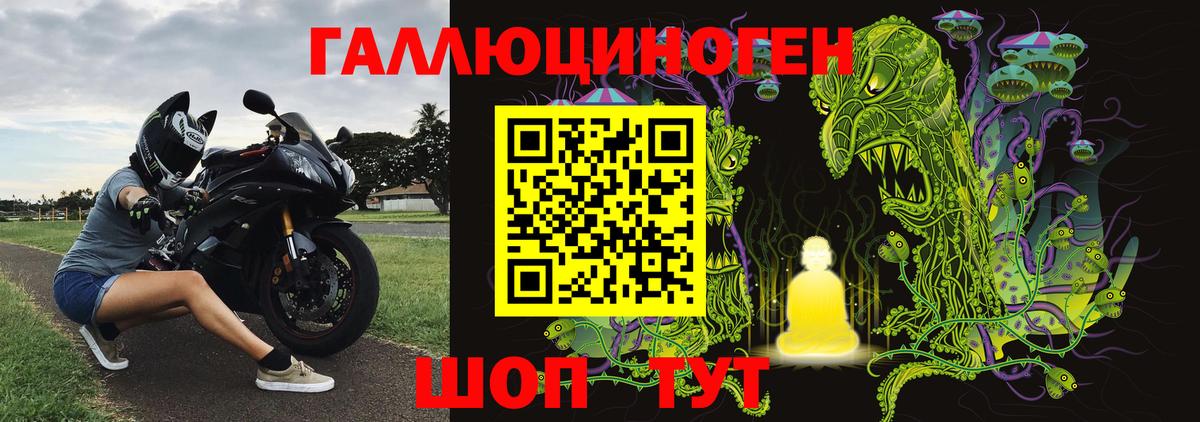 Псилоцибиновые грибы Psilocybe  Назрань  Псилоцибиновые грибы мухоморы 