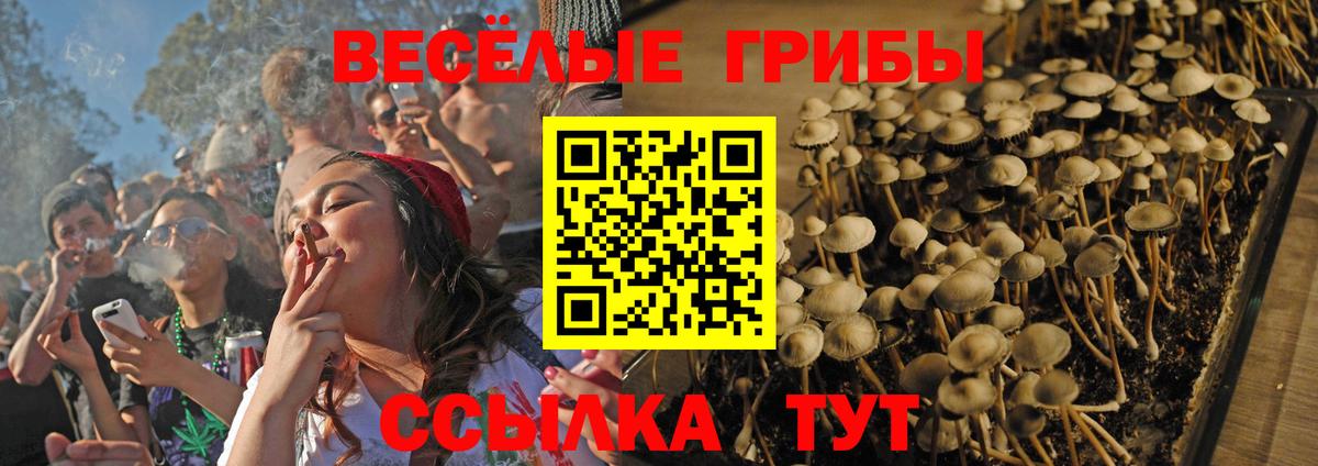 Псилоцибиновые грибы MAGIC MUSHROOMS  Галлюциногенные грибы ЛСД  Вход с VPN  Назрань 